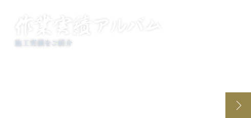 bnrhalf_works_cover